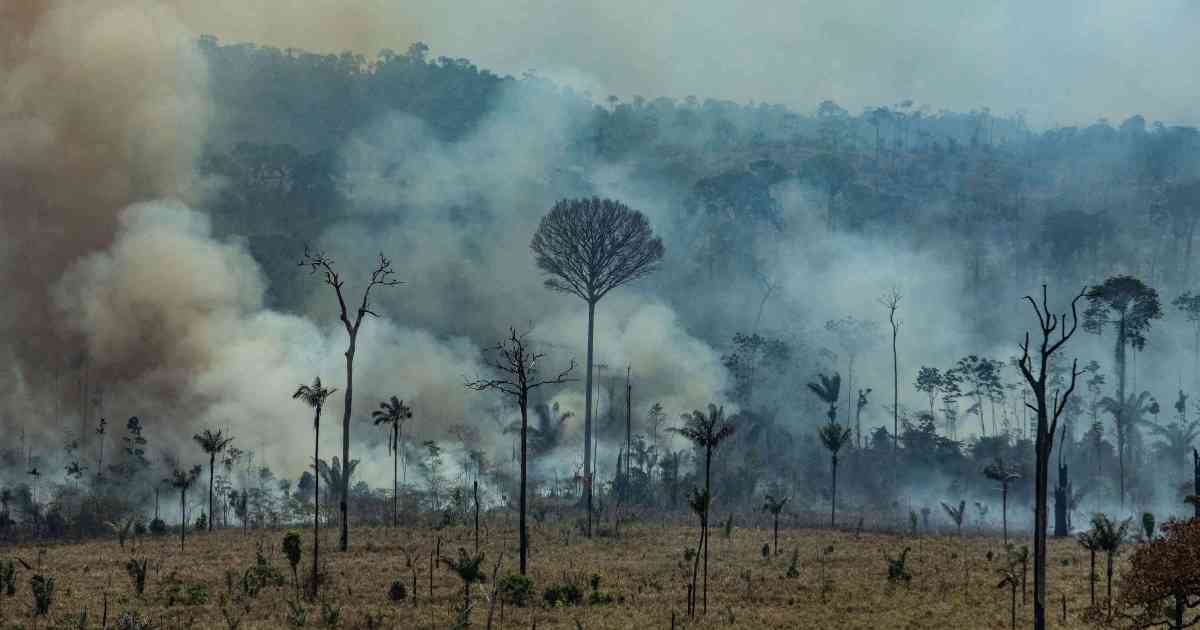 4 Contaminación